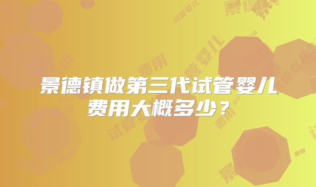 景德镇做第三代试管婴儿费用大概多少?