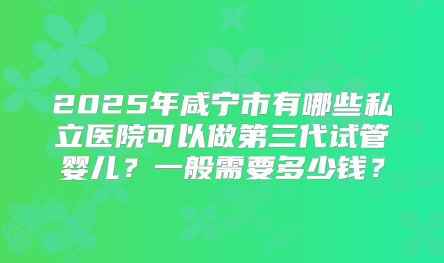 2025年咸宁市有哪些私立医院可以做第三代试管婴儿？一般需要多少钱？