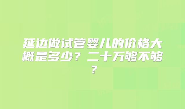 延边做试管婴儿的价格大概是多少？二十万够不够？