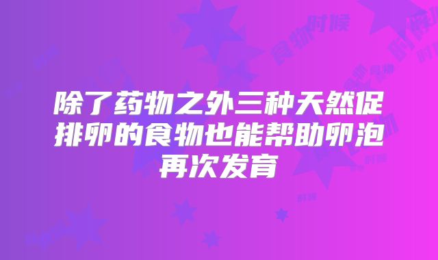 除了药物之外三种天然促排卵的食物也能帮助卵泡再次发育