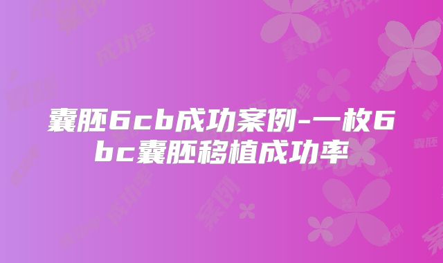 囊胚6cb成功案例-一枚6bc囊胚移植成功率