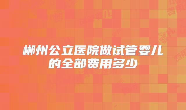 郴州公立医院做试管婴儿的全部费用多少
