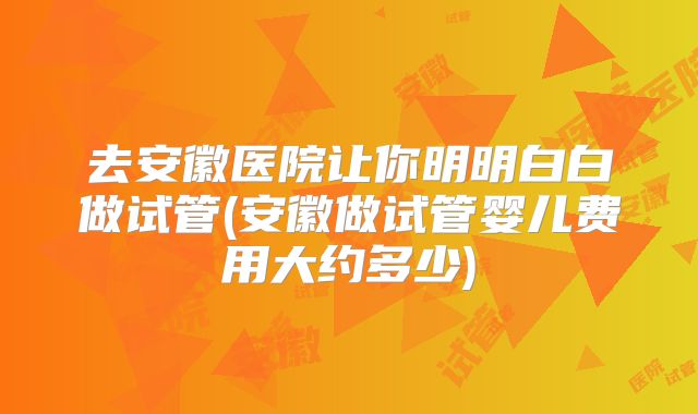 去安徽医院让你明明白白做试管(安徽做试管婴儿费用大约多少)