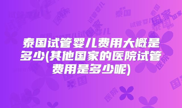 泰国试管婴儿费用大概是多少(其他国家的医院试管费用是多少呢)