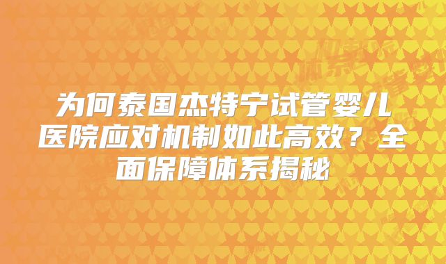 为何泰国杰特宁试管婴儿医院应对机制如此高效？全面保障体系揭秘