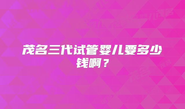 茂名三代试管婴儿要多少钱啊？