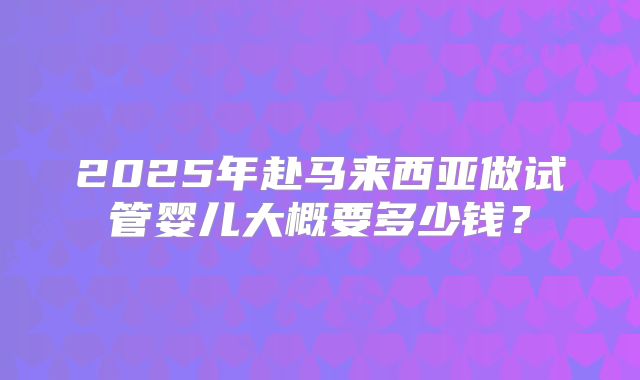 2025年赴马来西亚做试管婴儿大概要多少钱？