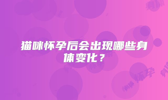 猫咪怀孕后会出现哪些身体变化?