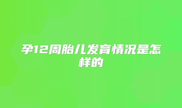 孕12周胎儿发育情况是怎样的