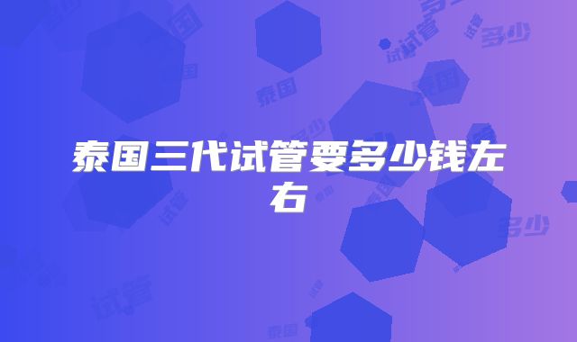 泰国三代试管要多少钱左右