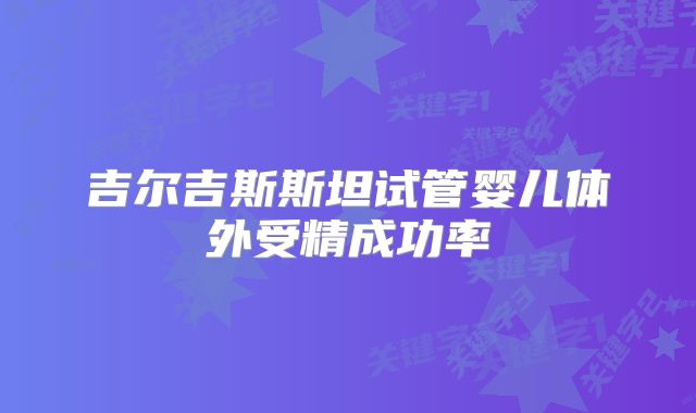 吉尔吉斯斯坦试管婴儿体外受精成功率