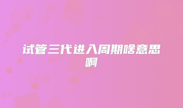 试管三代进入周期啥意思啊