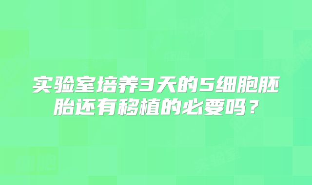 实验室培养3天的5细胞胚胎还有移植的必要吗?