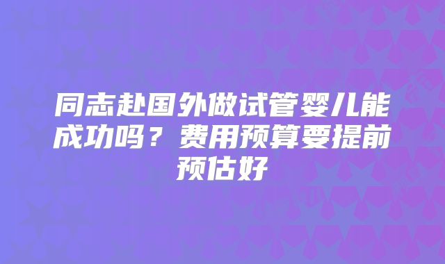 同志赴国外做试管婴儿能成功吗?费用预算要提前预估好