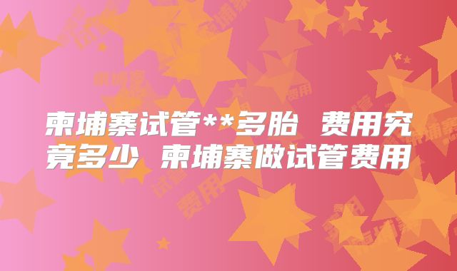 柬埔寨试管**多胎 费用究竟多少 柬埔寨做试管费用