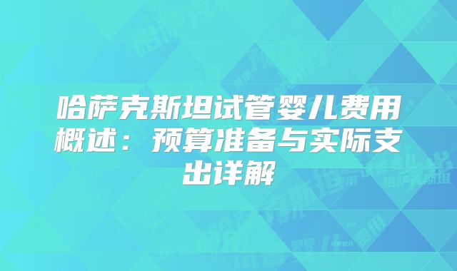 哈萨克斯坦试管婴儿费用概述：预算准备与实际支出详解