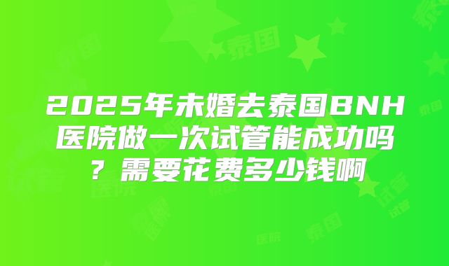 2025年未婚去泰国BNH医院做一次试管能成功吗？需要花费多少钱啊