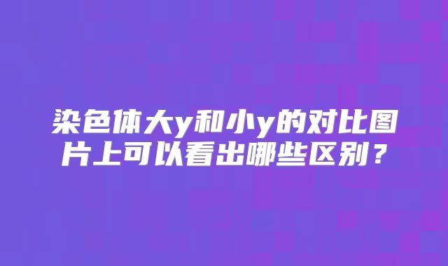 染色体大y和小y的对比图片上可以看出哪些区别？