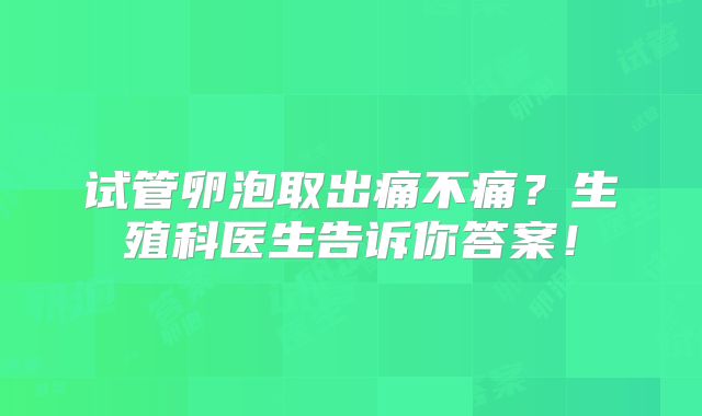 试管卵泡取出痛不痛?生殖科医生告诉你答案!