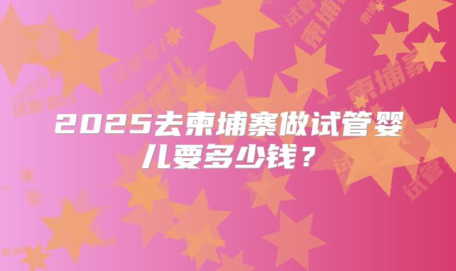 2025去柬埔寨做试管婴儿要多少钱？