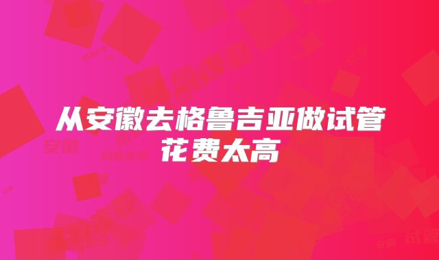 从安徽去格鲁吉亚做试管花费太高