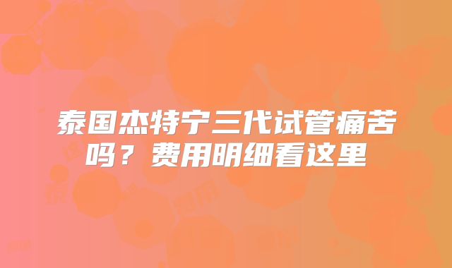 泰国杰特宁三代试管痛苦吗?费用明细看这里