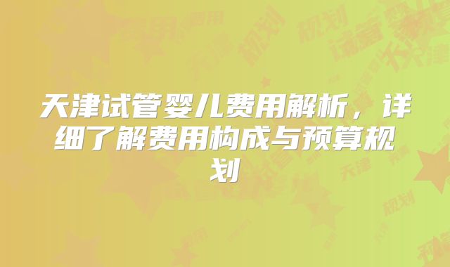 天津试管婴儿费用解析,详细了解费用构成与预算规划