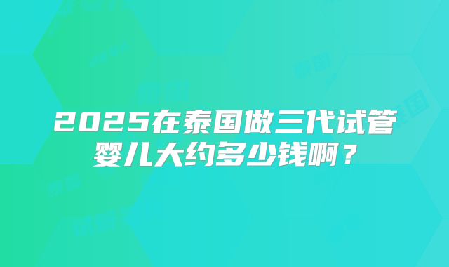 2025在泰国做三代试管婴儿大约多少钱啊?