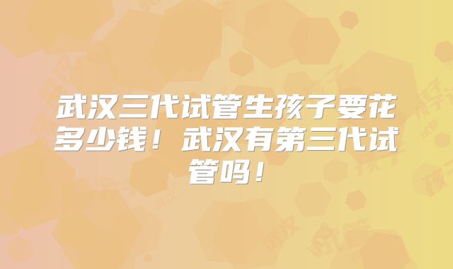 武汉三代试管生孩子要花多少钱！武汉有第三代试管吗！