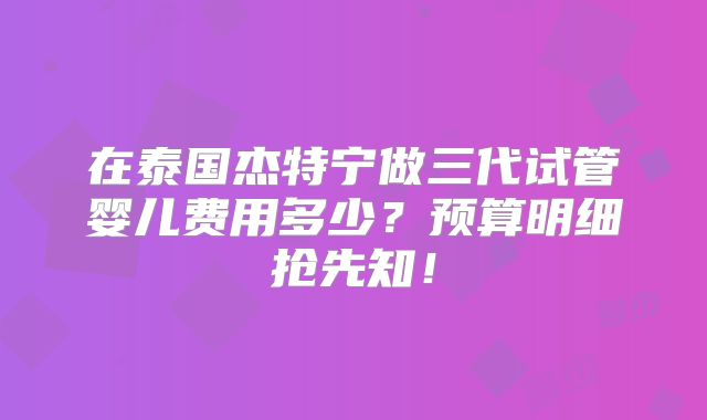 在泰国杰特宁做三代试管婴儿费用多少？预算明细抢先知！