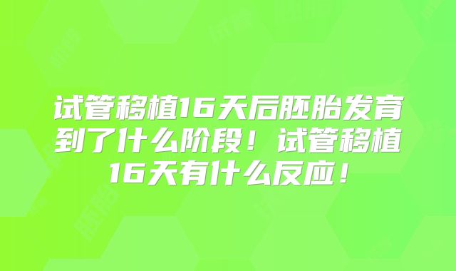试管移植16天后胚胎发育到了什么阶段!试管移植16天有什么反应!