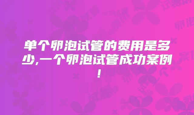 单个卵泡试管的费用是多少,一个卵泡试管成功案例！