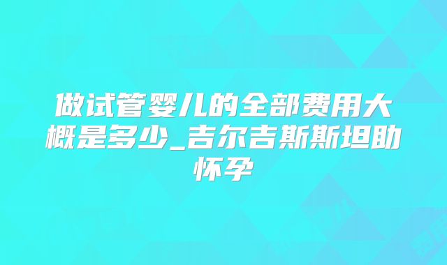 做试管婴儿的全部费用大概是多少_吉尔吉斯斯坦助怀孕