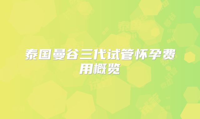 泰国曼谷三代试管怀孕费用概览