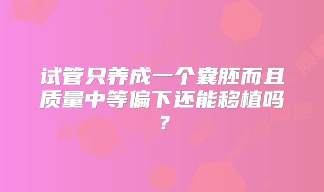 试管只养成一个囊胚而且质量中等偏下还能移植吗？