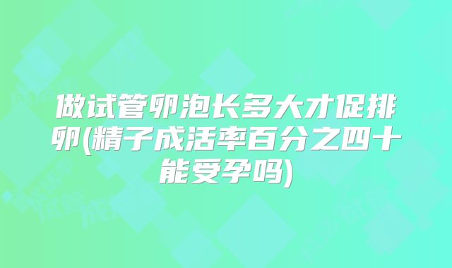 做试管卵泡长多大才促排卵(精子成活率百分之四十能受孕吗)