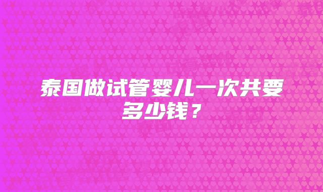 泰国做试管婴儿一次共要多少钱？