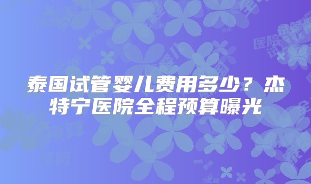 泰国试管婴儿费用多少?杰特宁医院全程预算曝光