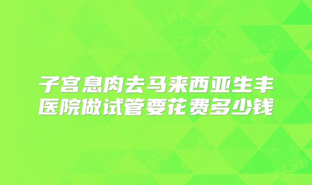子宫息肉去马来西亚生丰医院做试管要花费多少钱