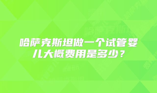 哈萨克斯坦做一个试管婴儿大概费用是多少？