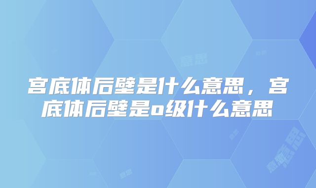 宫底体后壁是什么意思,宫底体后壁是o级什么意思