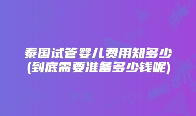 泰国试管婴儿费用知多少(到底需要准备多少钱呢)