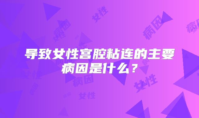 导致女性宫腔粘连的主要病因是什么？