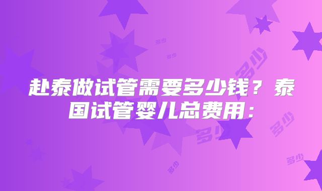 赴泰做试管需要多少钱？泰国试管婴儿总费用：