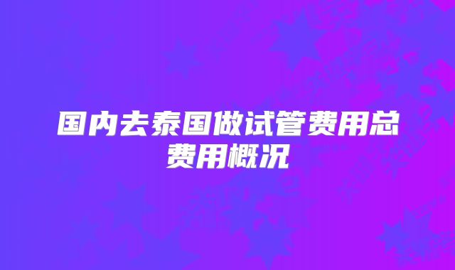 国内去泰国做试管费用总费用概况