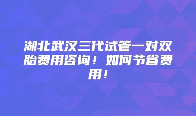 湖北武汉三代试管一对双胎费用咨询!如何节省费用!