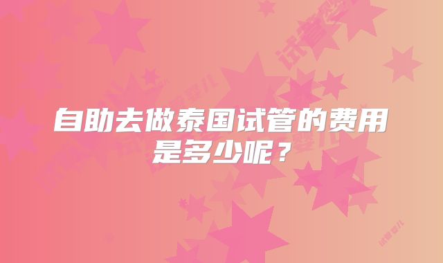 自助去做泰国试管的费用是多少呢？