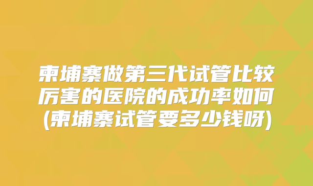 柬埔寨做第三代试管比较厉害的医院的成功率如何(柬埔寨试管要多少钱呀)