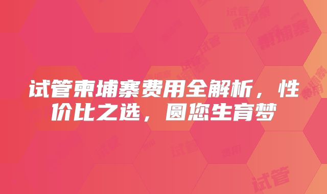 试管柬埔寨费用全解析，性价比之选，圆您生育梦