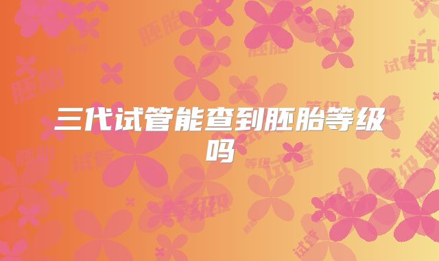 三代试管能查到胚胎等级吗